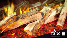 Load image into Gallery viewer, Celsi Electriflame DLX 1600 Built In Electric Fire