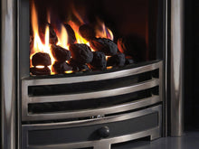 Load image into Gallery viewer, The Provident